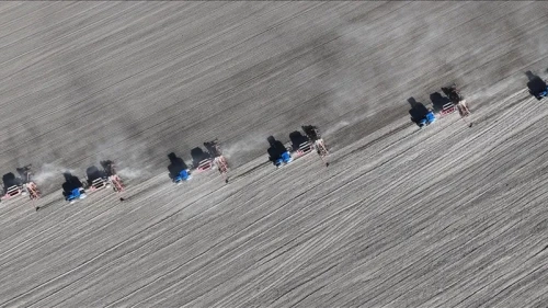 Kırşehir'de 77 bin dekara kuraklığa dayanaklı yerli hububat ekildi