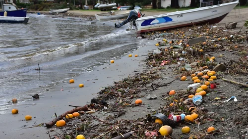 Bodrum'da sel sonrası kıyılar mandalina ve atıklarla doldu