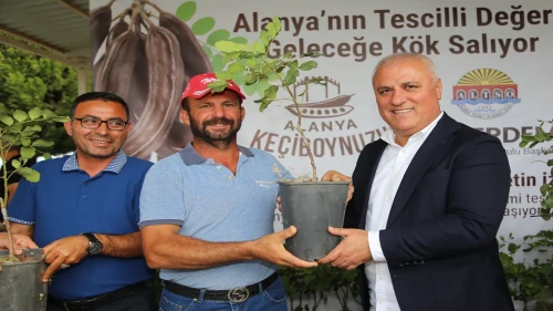 Alanya Keçiboynuzu”na coğrafi işaret tescili: Üreticilere 3 bin fidan dağıtıldı