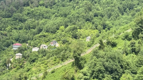 Sınırın ikiye ayırdığı köyde 100 yılı aşkın süredir süren akrabalık bağlarını korunuyor