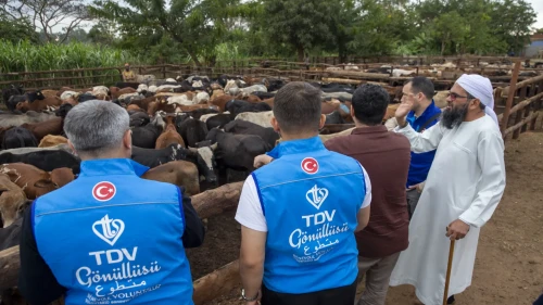 Malavi'de Kurban Bayramı için hazırlıklar tamamlandı