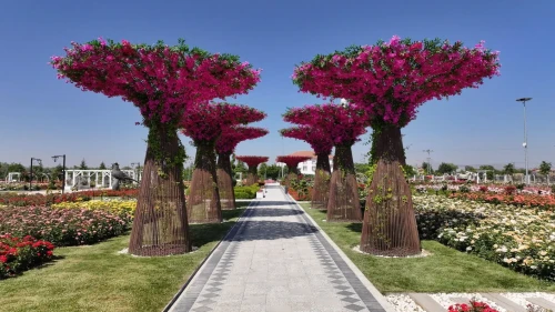 Karatay Mevlana Gül Parkı 190 tür gülle yeni sezonuna merhaba dedi