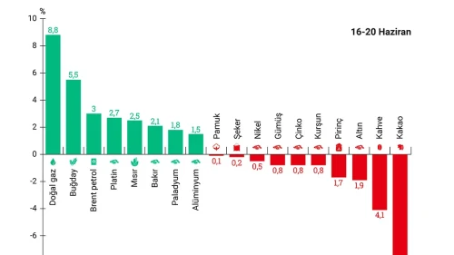 Emtia piyasalarında fiyatlar dalgalanıyor