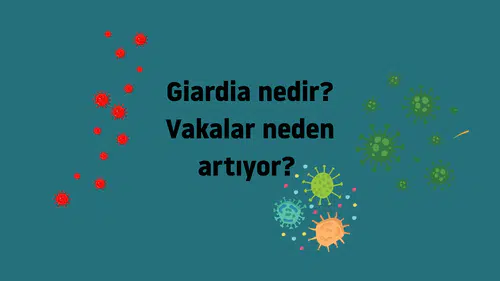 Giardia nedir? Vakalar neden artıyor, belirtileri ve bulaşma yolları neler?