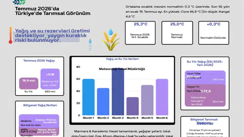 Türkiye'de tarımsal üretimde olumlu tablo: Yağışlar arttı, kuraklık riski geriledi