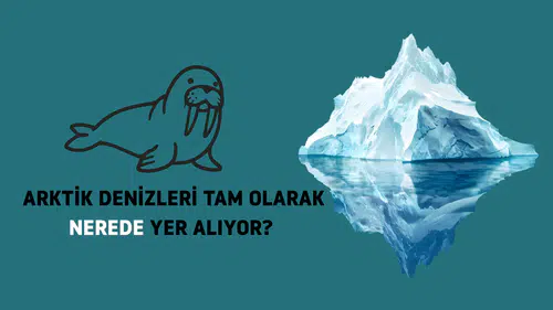 HARİTADAKİ EN KUZEY NOKTA: ARKTİK DENİZLERİ TAM OLARAK NEREDE YER ALIYOR?