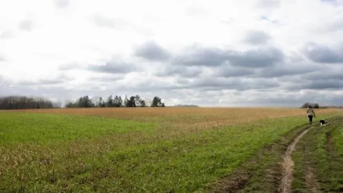AB raporu kirlilik ruh sağlığını etkiliyor, Yeni rapor alarm veriyor