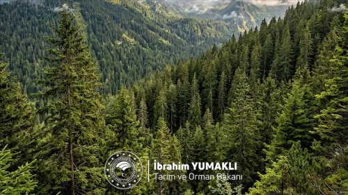 Bakan Yumaklı'dan Dünya Ormancılık Günü mesajı: "Yeşil vatanımızı korumaya kararlıyız"