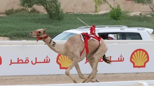 BAE, Katar'da Altın Hançer ile zafer kazandı! Hecin el-Riyasah sahnede