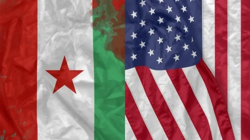 Gine ve ABD terörle mücadelede stratejik iş birliği için masaya oturdu