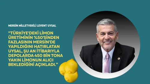 Mersinli limon üreticisi destek bekliyor: 450 bin ton ürün depoda kaldı