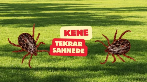 Kenede riskli dönem başladı