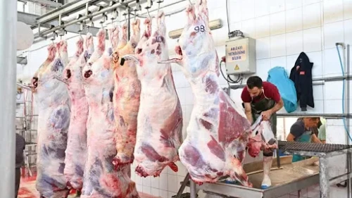 Bayramın ilk gününde acil servisler doldu taştı: 13 bin 513 acemi kasap kurban keserken yaralandı
