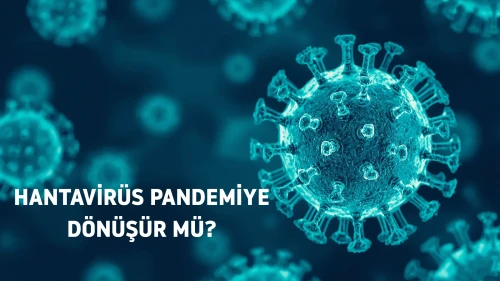 Hantavirüs endişelerine uzman yanıtı: Salgın riski yok, temizlikte dikkat