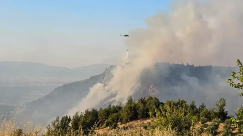 Alevlere teslim: UNESCO mirasının yanı başında korkutan yangın