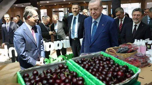 Erdoğan, 42 ilde 61 organize tarım bölgesi kuracak! Tarımda hangi yenilikler bekleniyor?