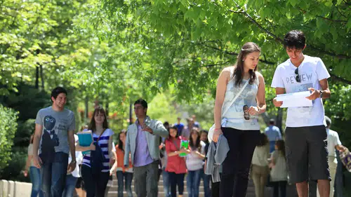 Diploma almadan iş dünyasının kapıları açılıyor: 120 bin öğrenci için yeni dönem başlıyor