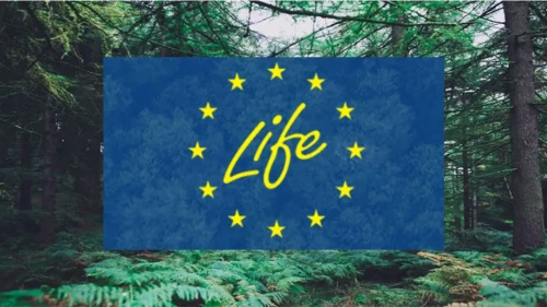 AB destekli LIFE projeleriyle geri dönüşümde yeni dönem: Atık yönetiminde ne değişecek?