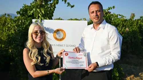 Bornova Misket Üzümü'nün Küresel Yolculuğu: Lucien Arkas Bağları'na Tescil Gururu