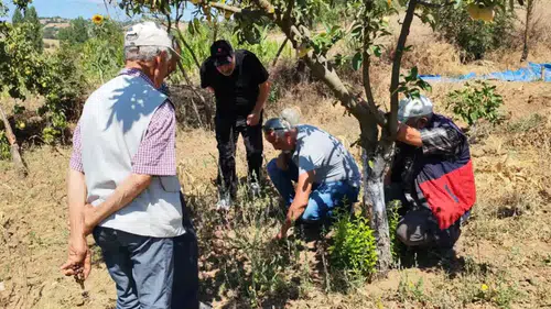 Tarla sahibi Mehmet Yetgin'den üreticilere fare uyarısı