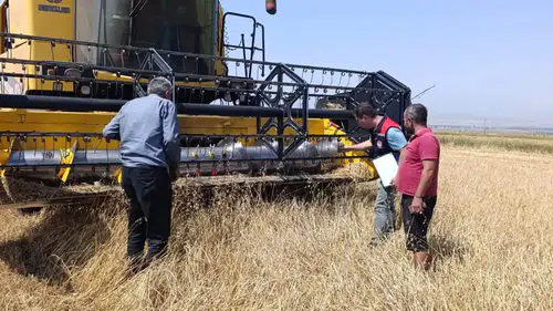 Kars'ta hasat sezonunda üreticinin yanında: Biçerdöver denetimleri aralıksız sürüyor