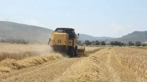 Çiftçilere 195,6 milyon liralık destek ödemesi yapıldı