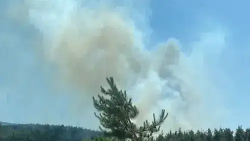 Bursa'da orman ekipleri üç cephede alevlerle mücadele ediyor