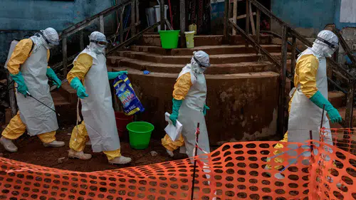 Kongo'da Ebola Salgını: 1556 Can Kaybı, Uluslararası Acil Durum İlan Edildi
