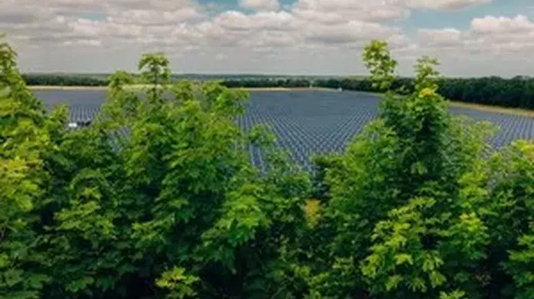 İngiltere’de 400 MW’lık güneş enerjisi projesine onay