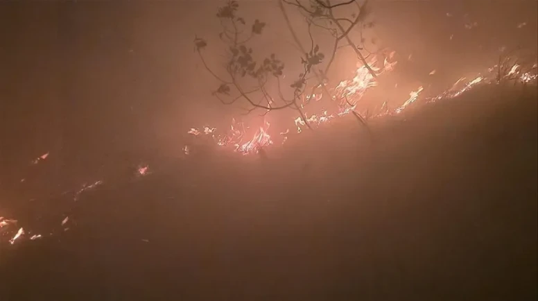 Hatay'da ormanlık alanda yangın! Ekipler mücadele ediyor
