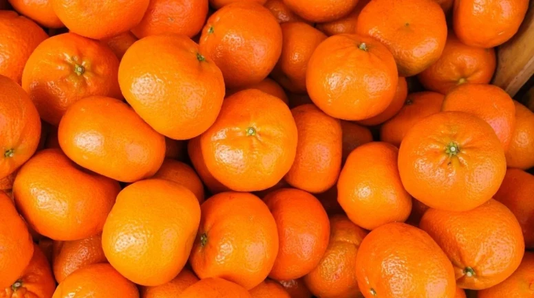 Türkiye'nin narenciye ihracatı 2025'te rekor seviyeye ulaştı