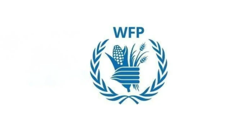 Somali'den korkutan açlık uyarısı: 4,4 milyon kişi kriz seviyesinde