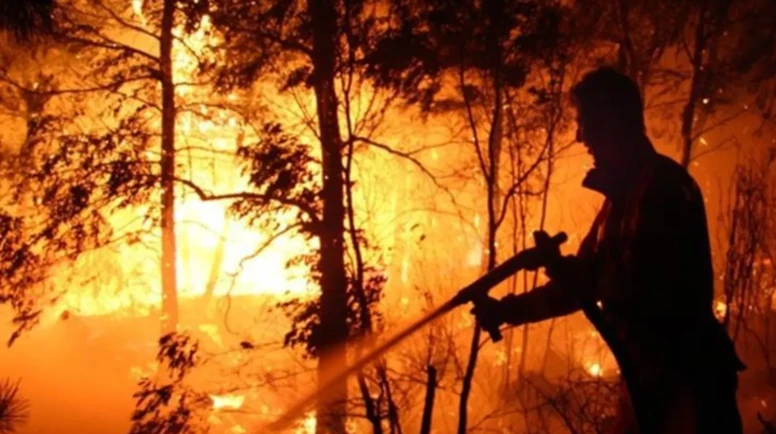 Avrupa Birliği tarihinin en yıkıcı orman yangını sezonu: 2025'te neler yaşandı?