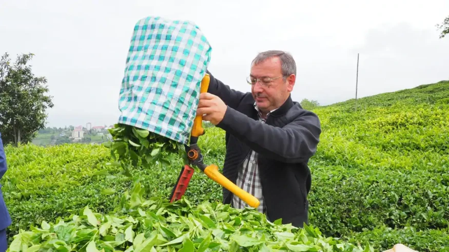Çaykur Genel Müdürü Alim, yeni sezon ve kadro durumu hakkında önemli açıklamalarda bulundu