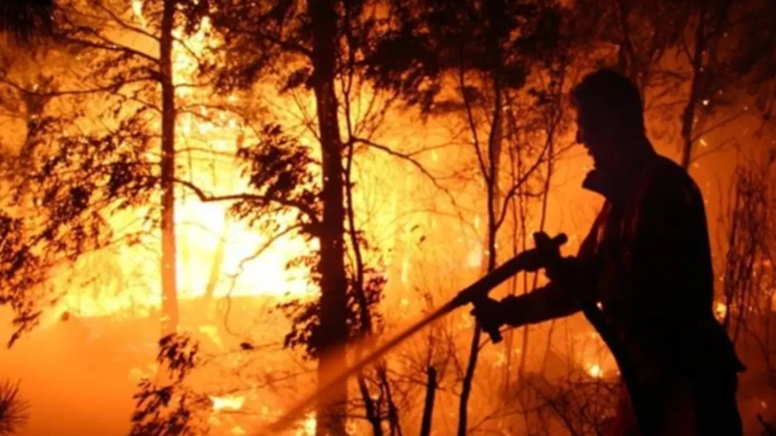 Avrupa Birliği tarihinin en yıkıcı orman yangını sezonu: 2025'te neler yaşandı?