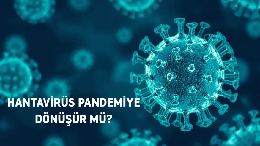 Hantavirüs endişelerine uzman yanıtı: Salgın riski yok, temizlikte dikkat