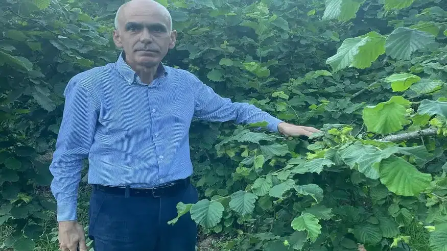 Fındıkta Fiyat Manipülasyonu: Üretici 190 Liraya Mahkum Edildi